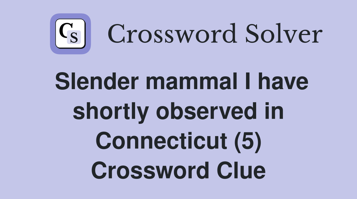 Slender mammal I have shortly observed in Connecticut (5) Crossword Clue