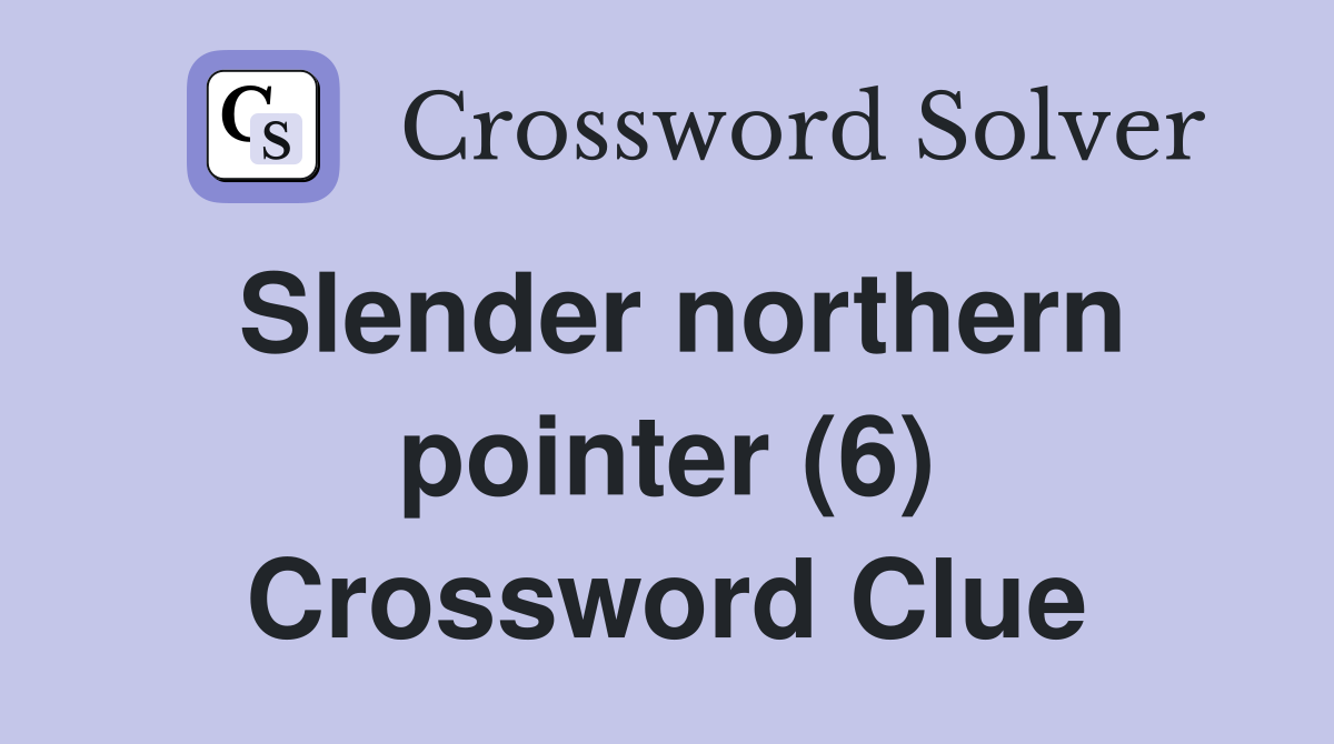 Slender northern pointer (6) Crossword Clue