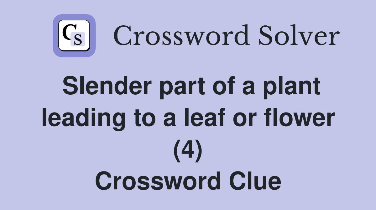 Slender part of a plant leading to a leaf or flower (4) Crossword Clue