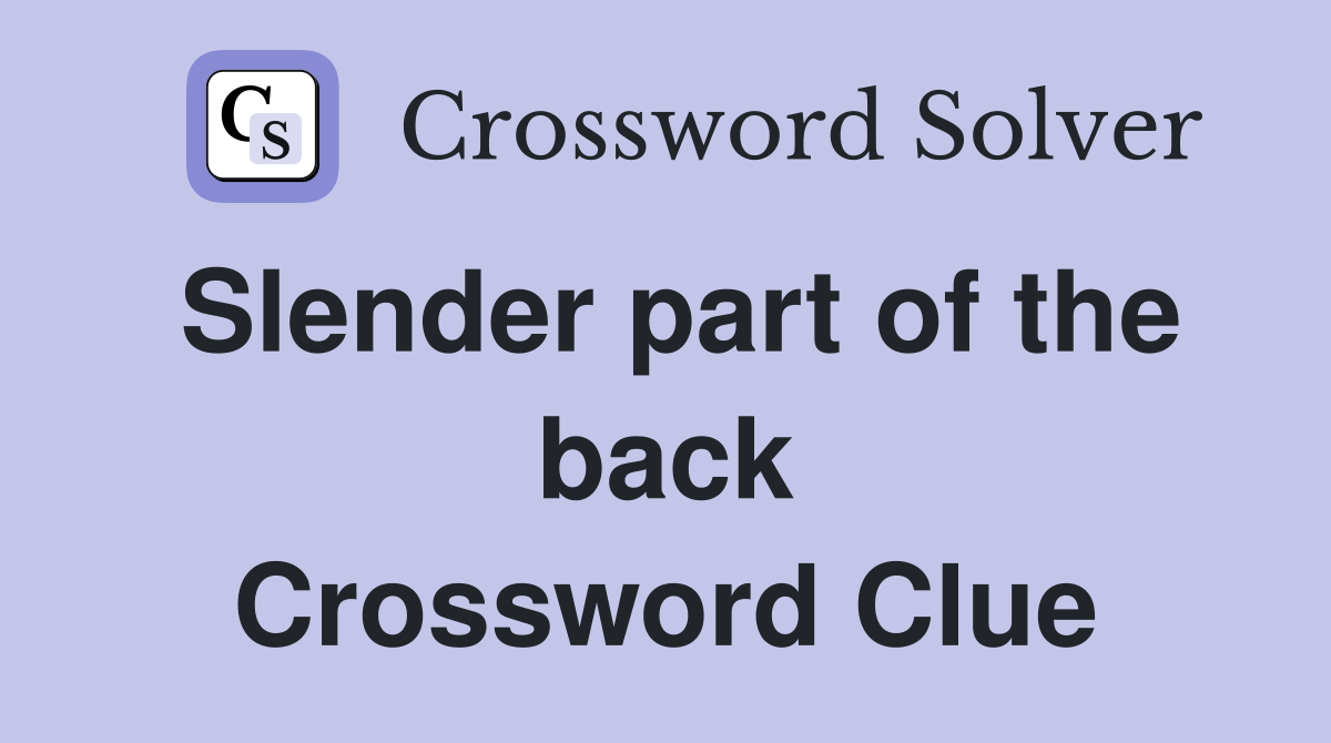 Slender part of the back Crossword Clue