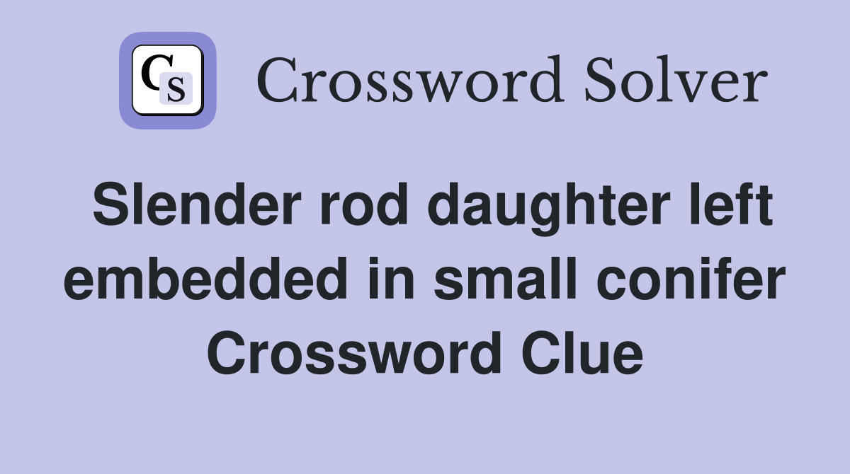 Slender rod daughter left embedded in small conifer Crossword Clue