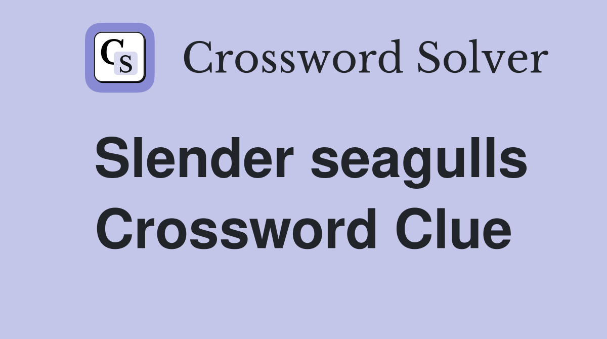 Slender seagulls Crossword Clue