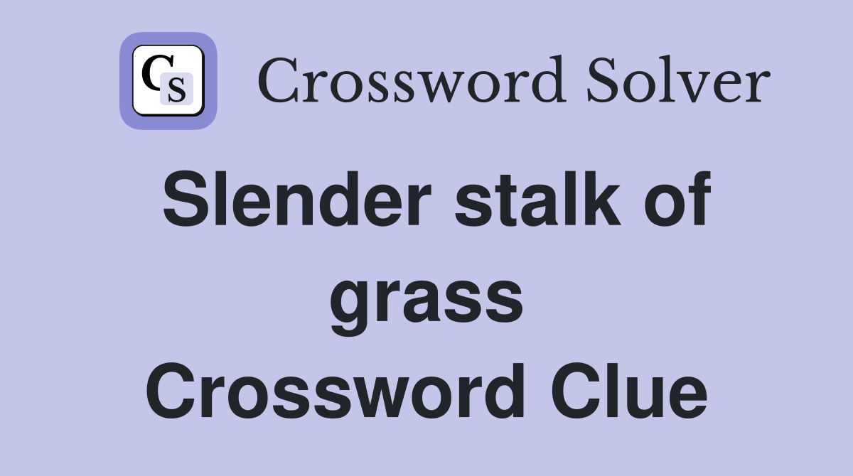 Slender stalk of grass Crossword Clue