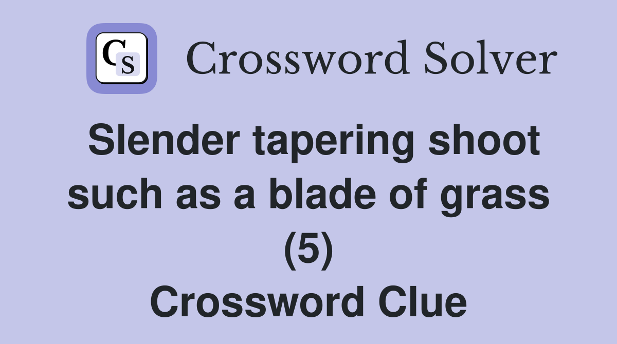 Slender tapering shoot such as a blade of grass (5) Crossword Clue