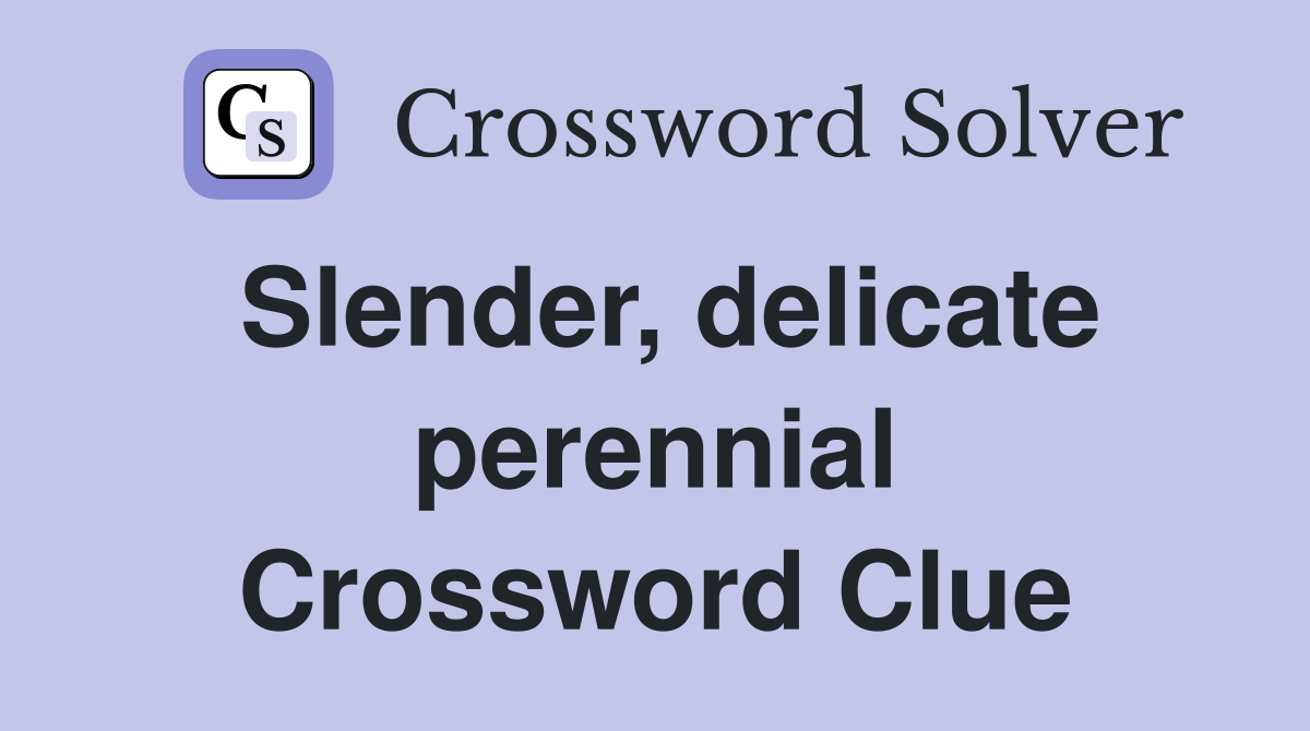 Slender, delicate perennial Crossword Clue