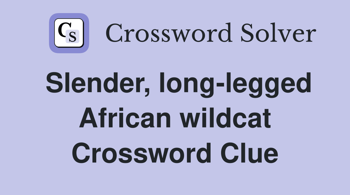 Slender, long-legged African wildcat Crossword Clue