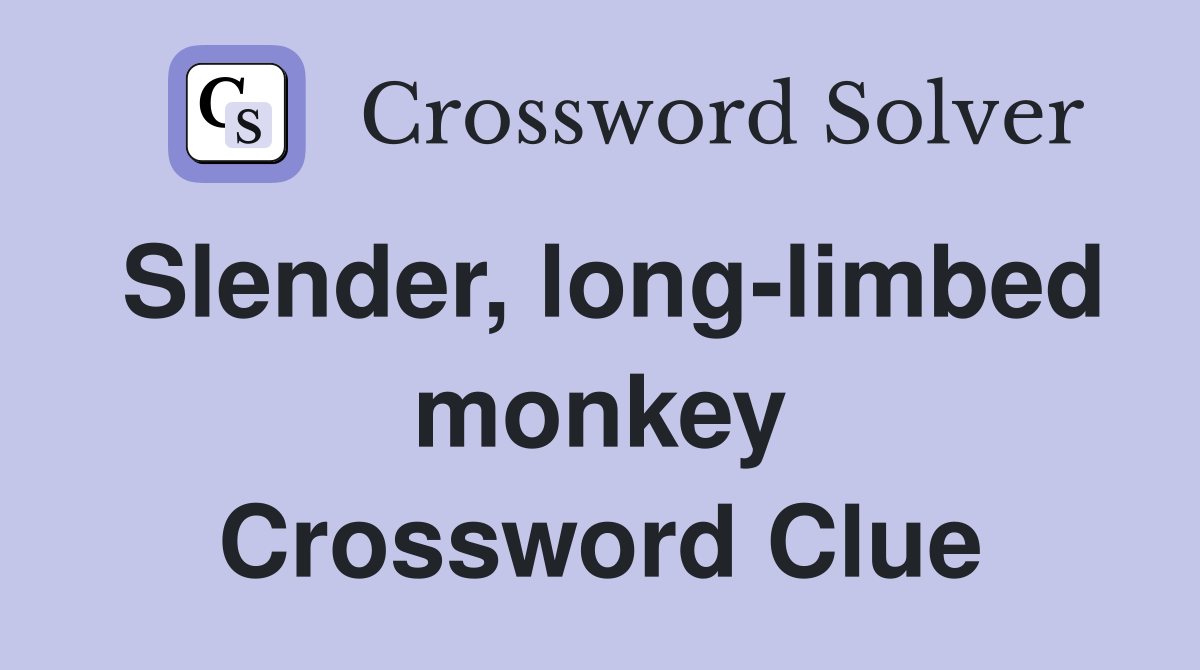 Slender, long-limbed monkey Crossword Clue