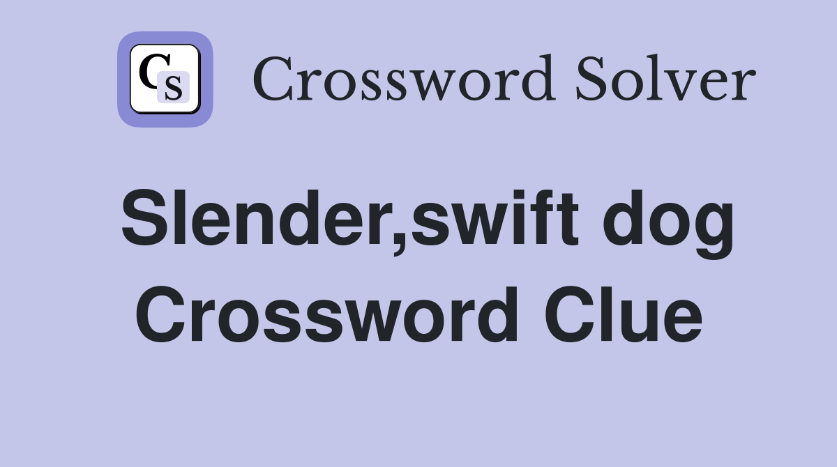 Slender,swift dog Crossword Clue