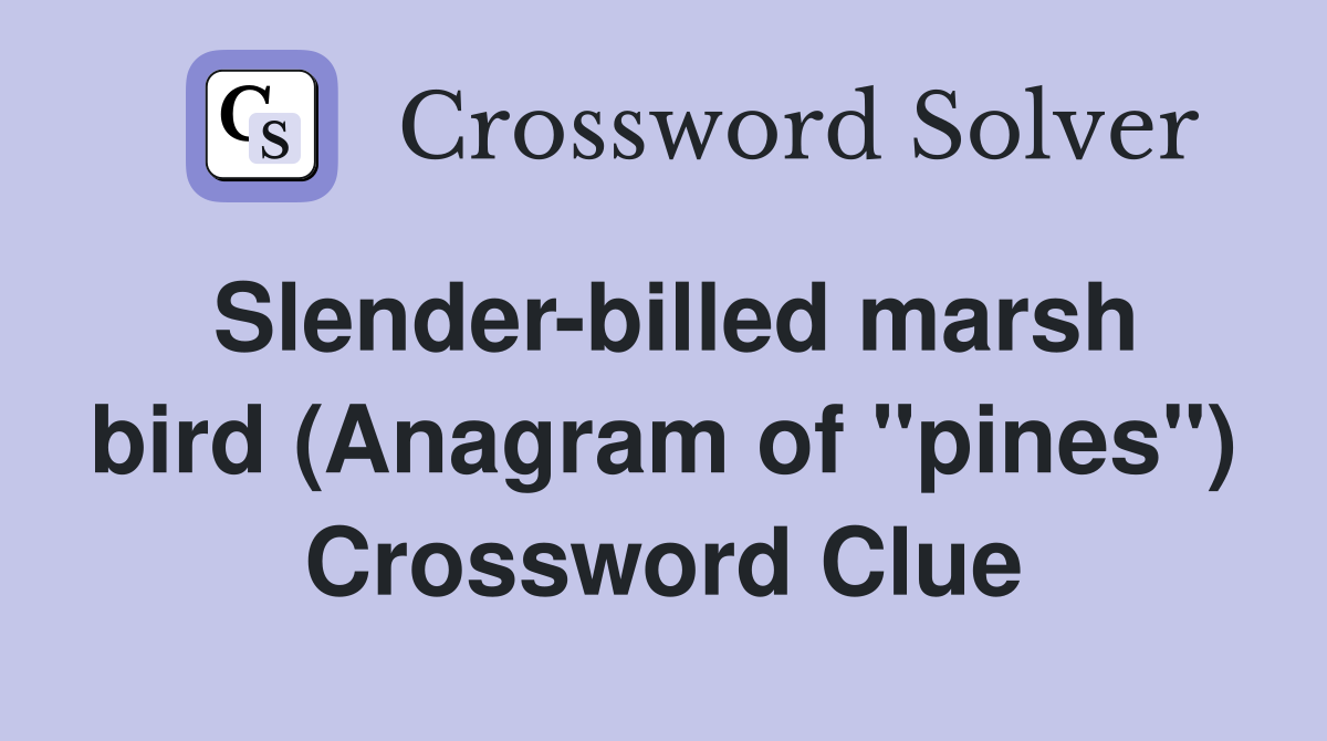 Slender-billed marsh bird (Anagram of "pines") Crossword Clue