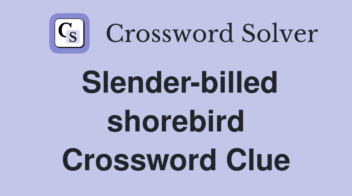 Slender-billed shorebird Crossword Clue