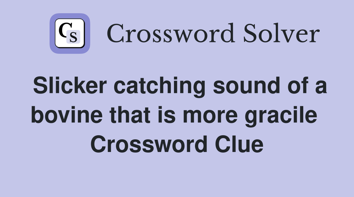 Slicker catching sound of a bovine that is more gracile  Crossword Clue