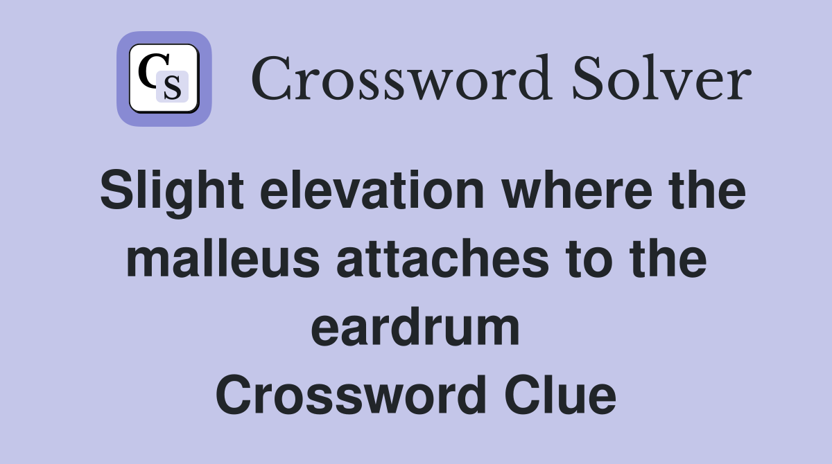 Slight elevation where the malleus attaches to the eardrum Crossword Clue
