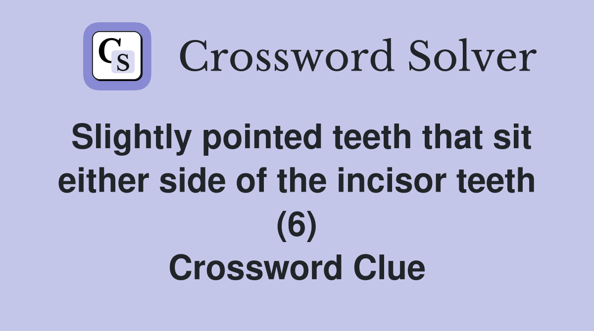 Slightly pointed teeth that sit either side of the incisor teeth (6) Crossword Clue