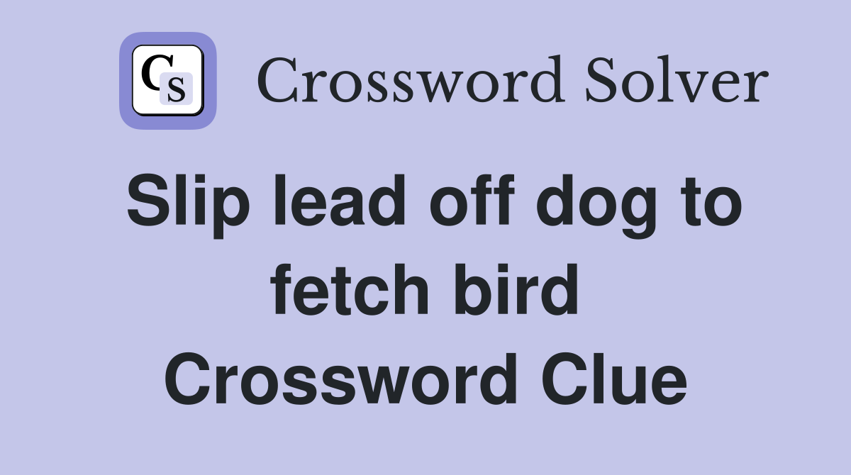 Slip lead off dog to fetch bird Crossword Clue