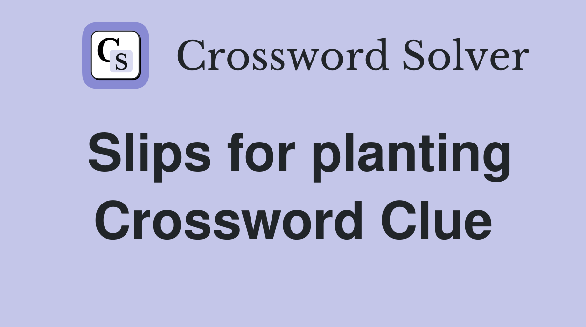 Slips for planting Crossword Clue