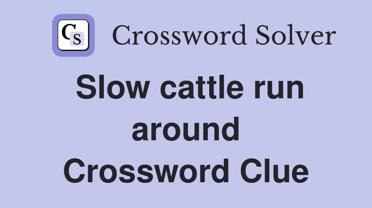 Slow cattle run around Crossword Clue
