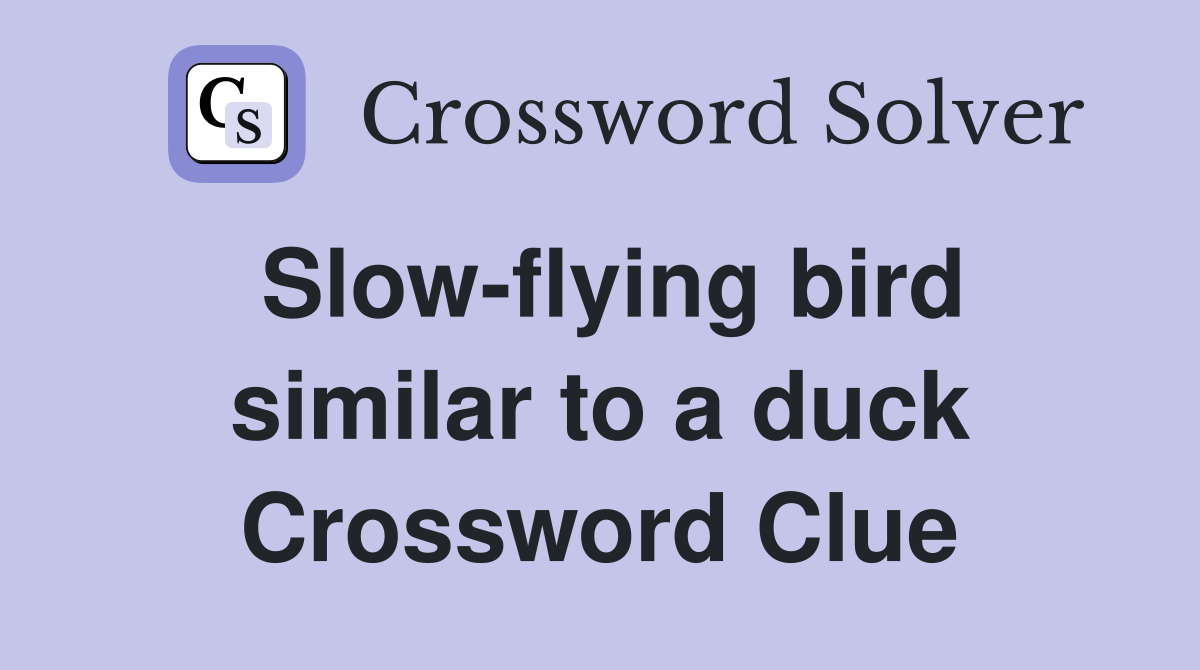 Slow-flying bird similar to a duck Crossword Clue