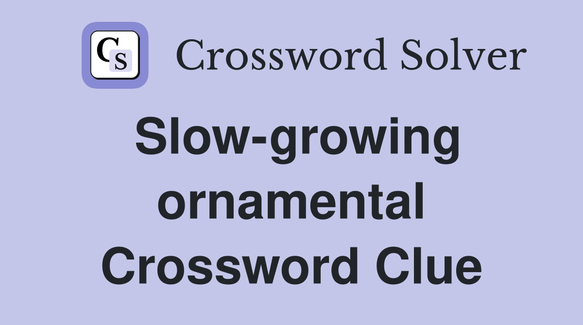 Slow-growing ornamental Crossword Clue