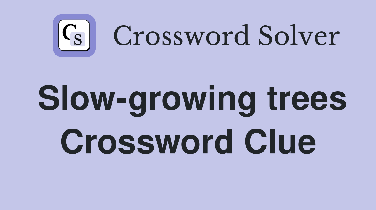 Slow-growing trees Crossword Clue