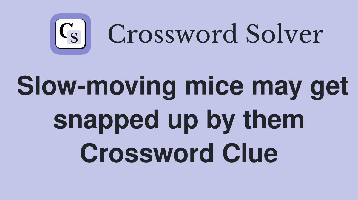 Slow-moving mice may get snapped up by them Crossword Clue