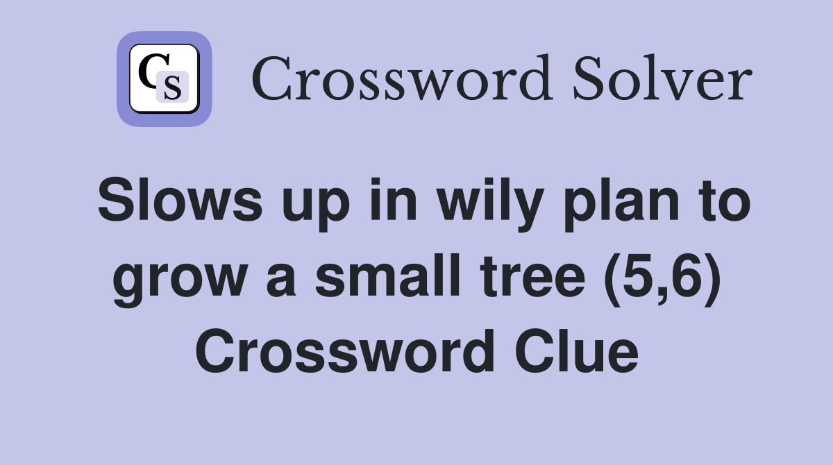 Slows up in wily plan to grow a small tree (5,6) Crossword Clue