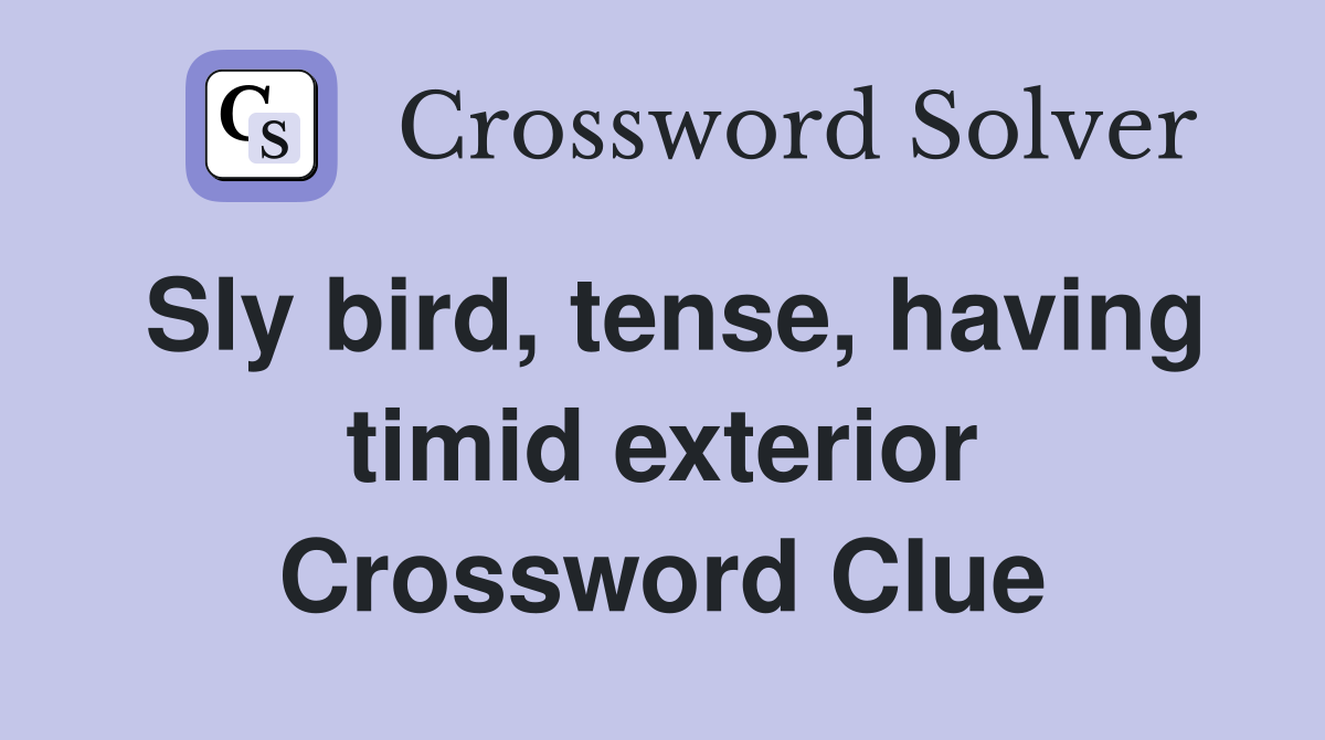 Sly bird, tense, having timid exterior Crossword Clue