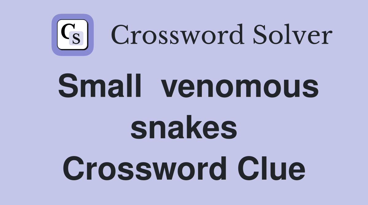 Small  venomous snakes Crossword Clue