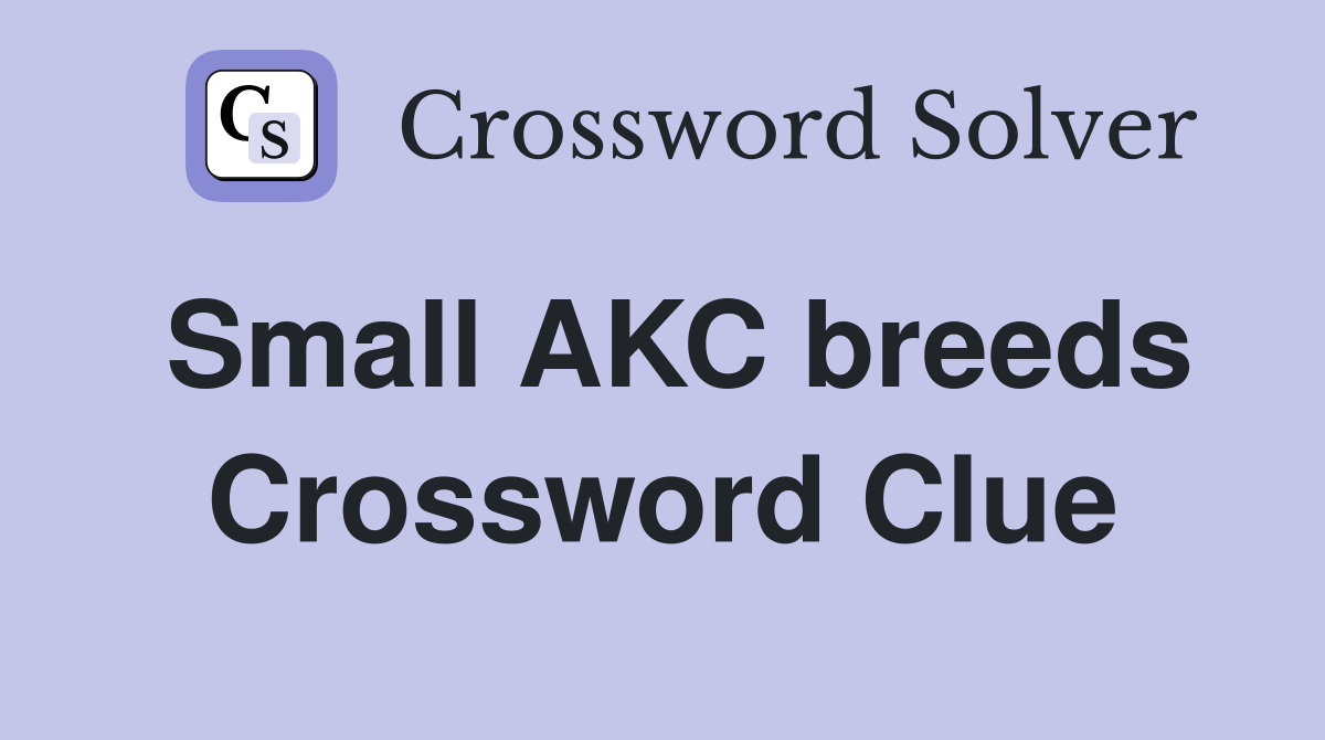 Small AKC breeds Crossword Clue
