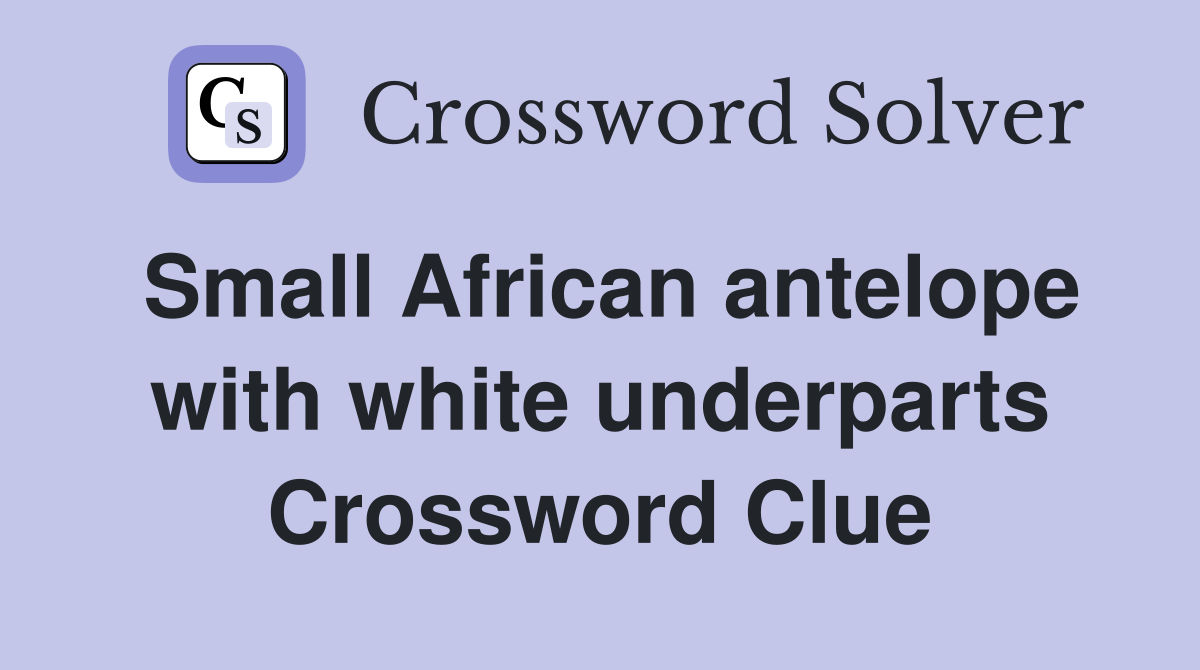 Small African antelope with white underparts Crossword Clue