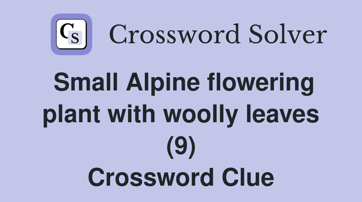Small Alpine flowering plant with woolly leaves (9) Crossword Clue