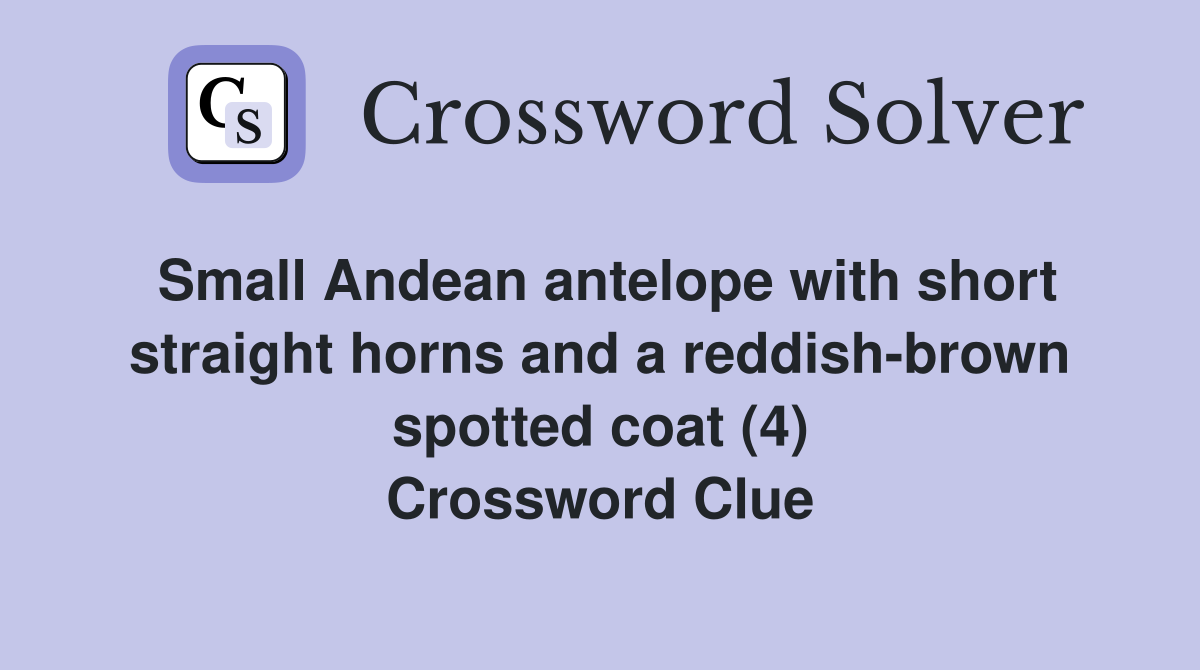 Small Andean antelope with short straight horns and a reddish-brown spotted coat (4) Crossword Clue