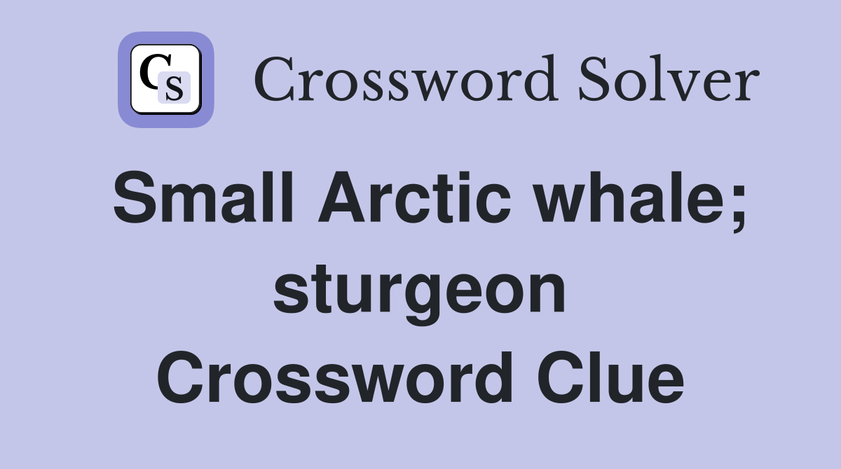 Small Arctic whale; sturgeon Crossword Clue
