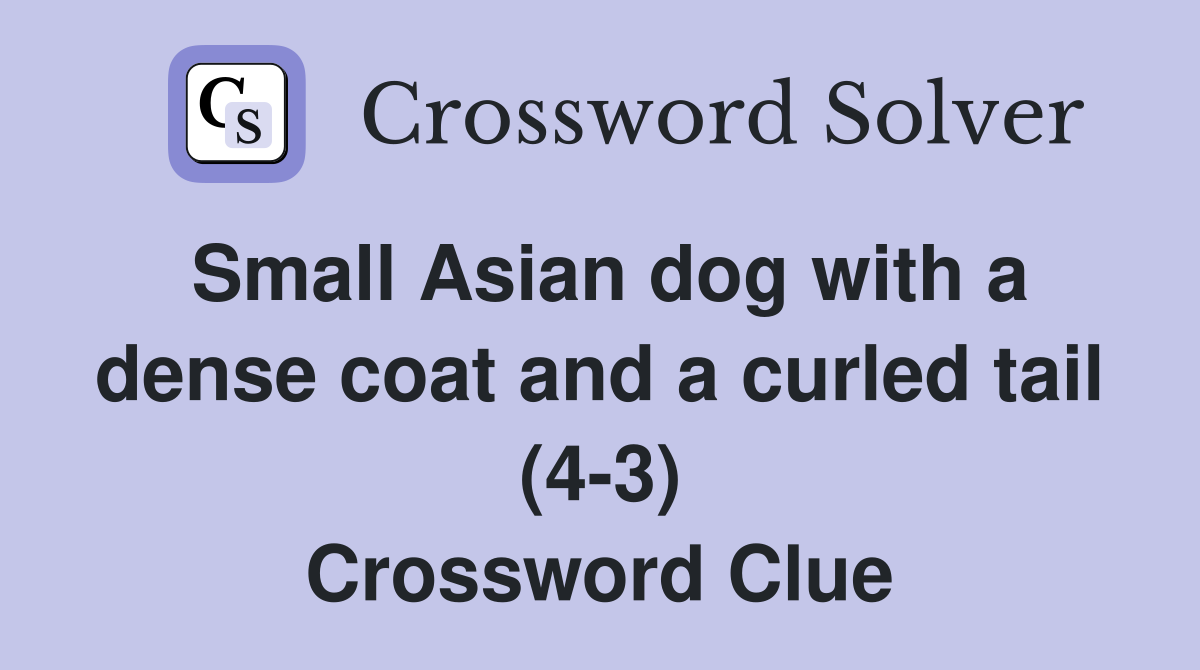 Small Asian dog with a dense coat and a curled tail (4-3) Crossword Clue
