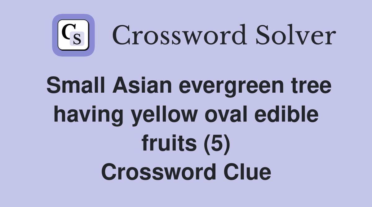 Small Asian evergreen tree having yellow oval edible fruits (5) Crossword Clue