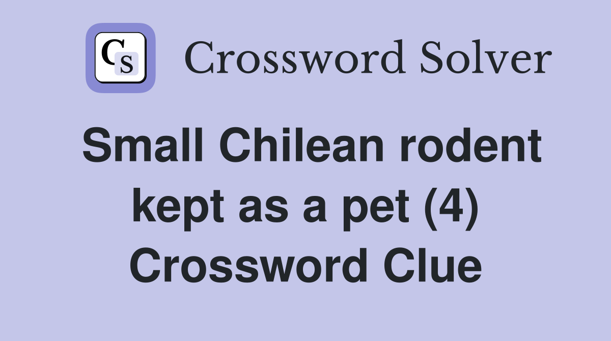 Small Chilean rodent kept as a pet (4) Crossword Clue