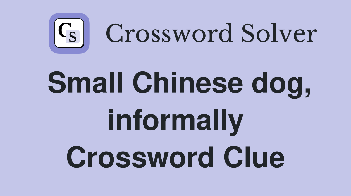 Small Chinese dog, informally Crossword Clue
