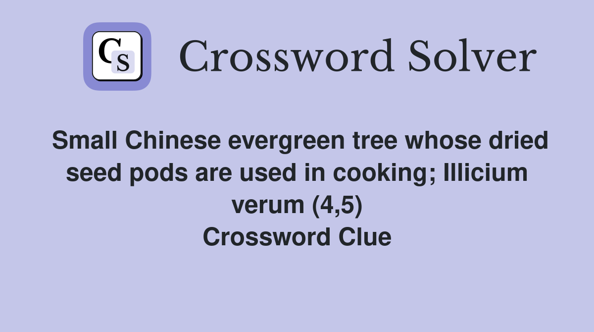 Small Chinese evergreen tree whose dried seed pods are used in cooking; Illicium verum (4,5) Crossword Clue