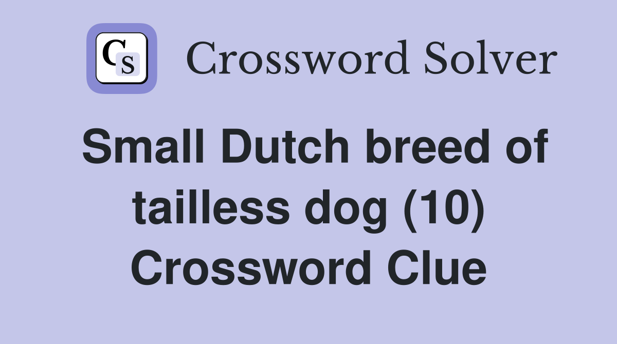 Small Dutch breed of tailless dog (10) Crossword Clue