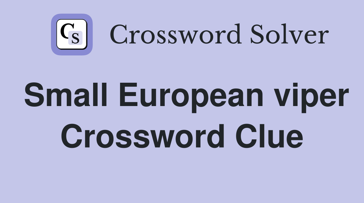 Small European viper Crossword Clue