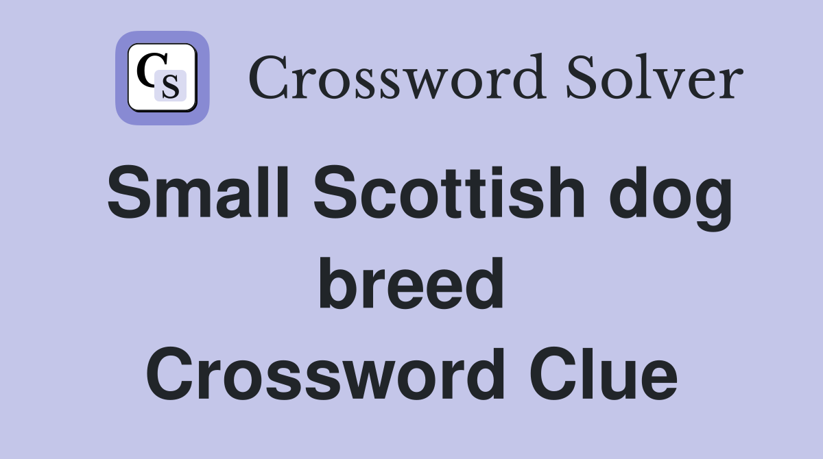 Small Scottish dog breed Crossword Clue
