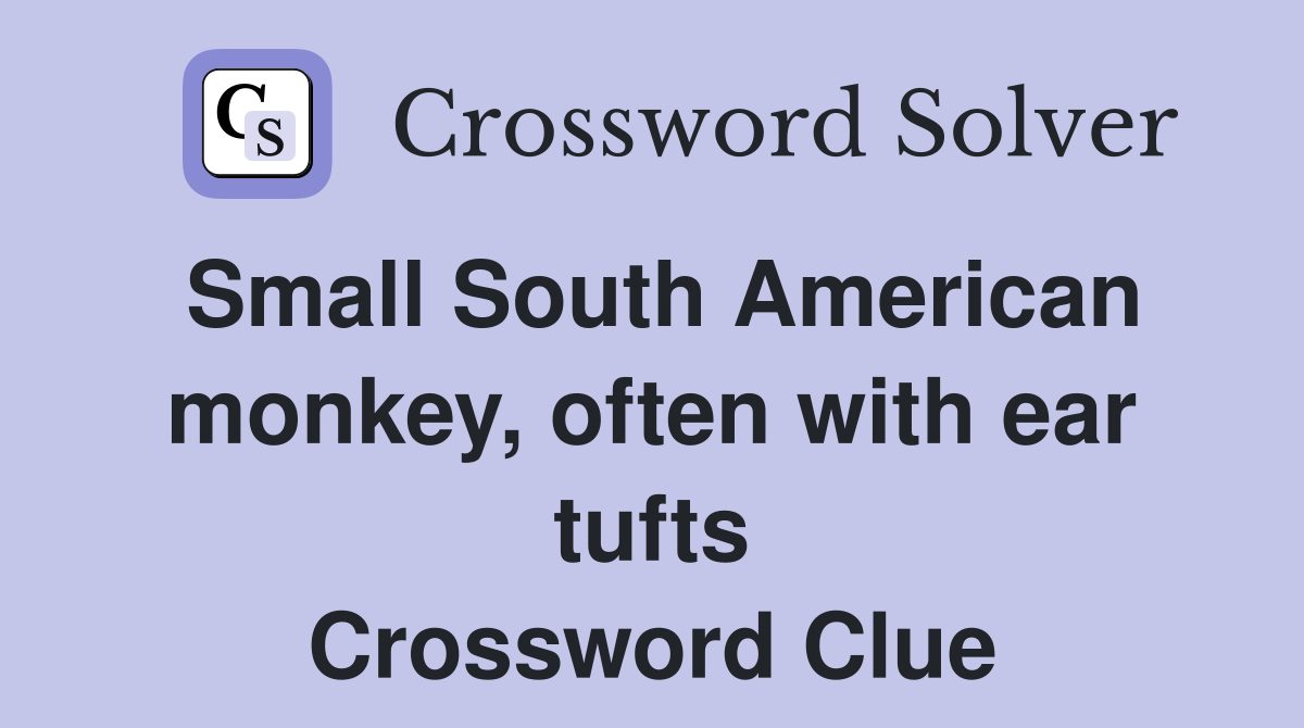 Small South American monkey, often with ear tufts Crossword Clue