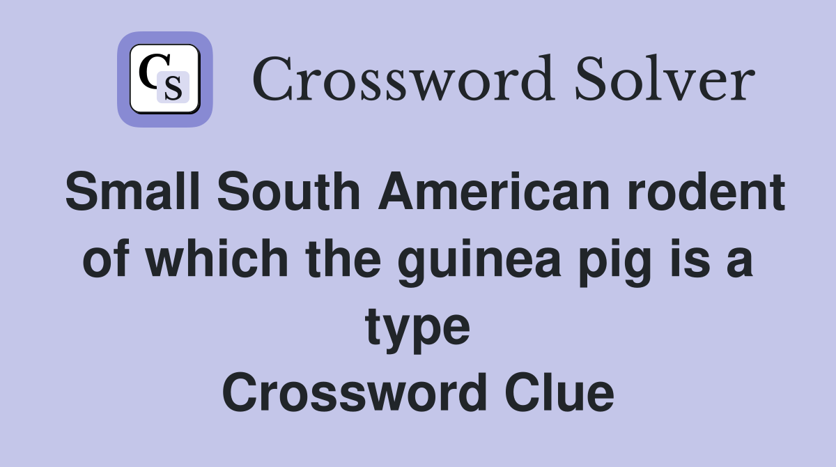 Small South American rodent of which the guinea pig is a type Crossword Clue