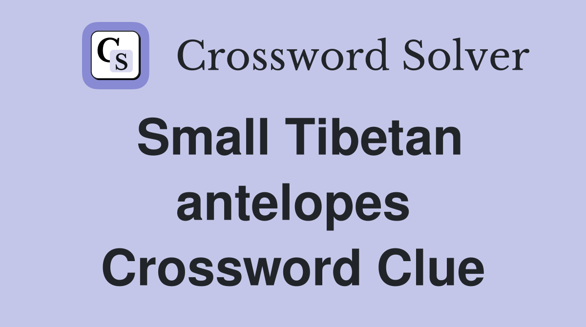 Small Tibetan antelopes Crossword Clue