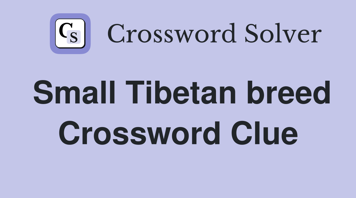 Small Tibetan breed Crossword Clue