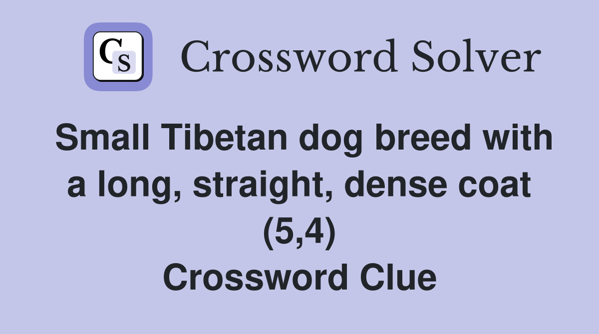Small Tibetan dog breed with a long, straight, dense coat (5,4) Crossword Clue