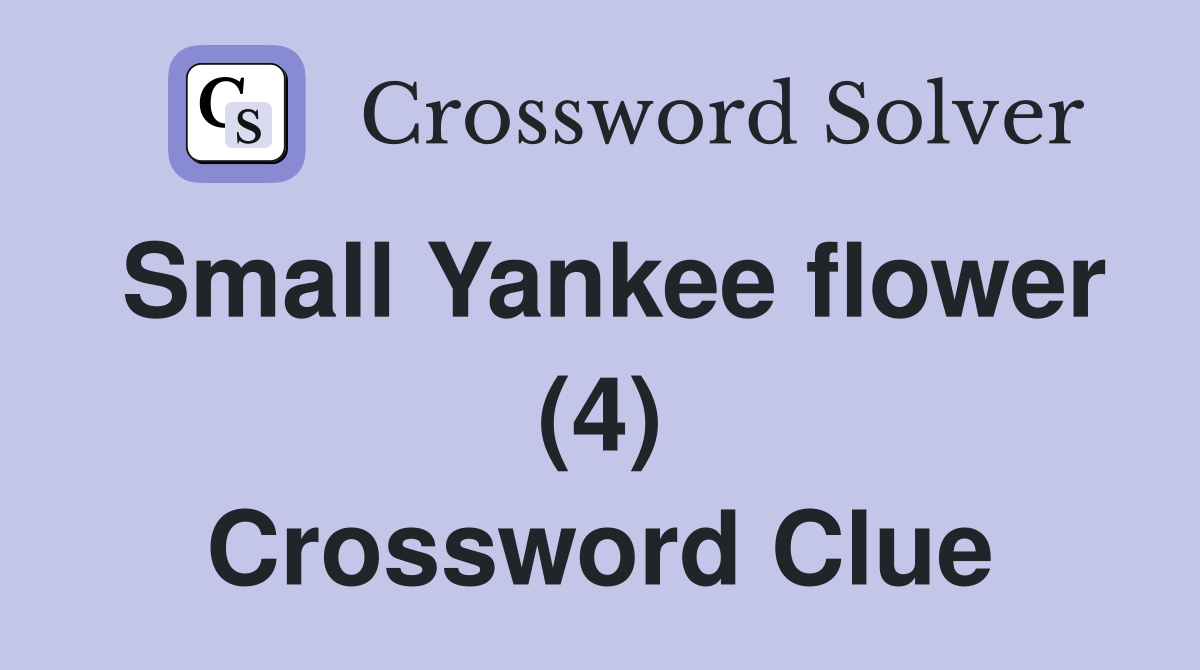 Small Yankee flower (4) Crossword Clue