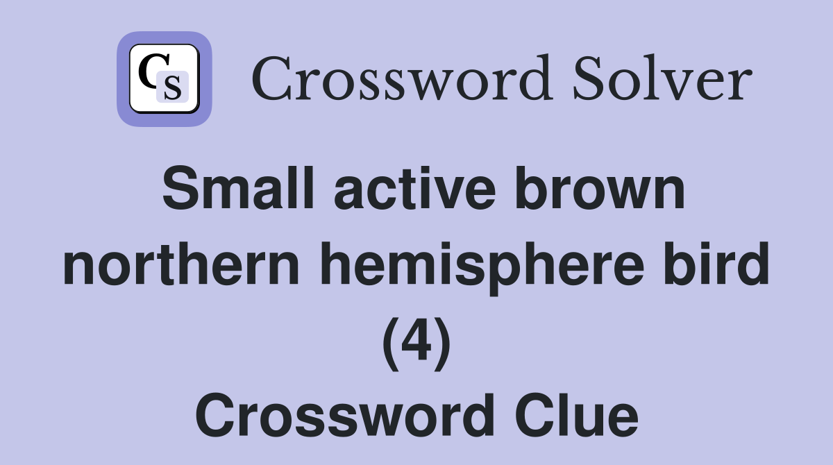 Small active brown northern hemisphere bird (4) Crossword Clue