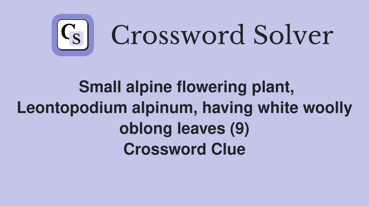 Small alpine flowering plant, Leontopodium alpinum, having white woolly oblong leaves (9) Crossword Clue