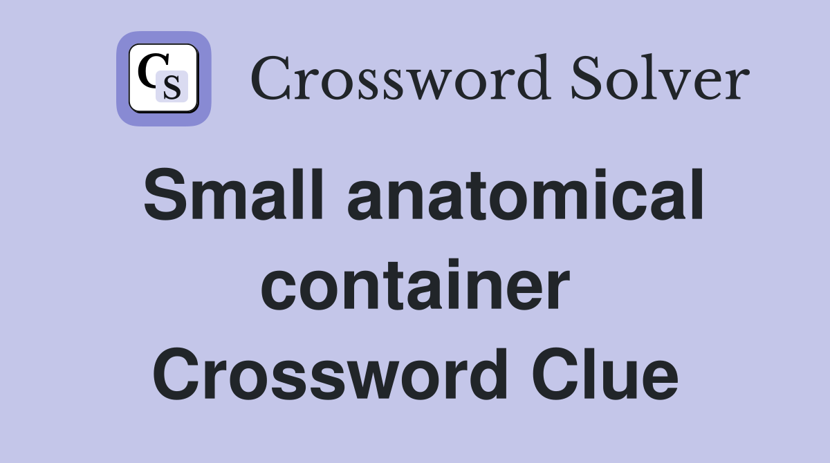 Small anatomical container Crossword Clue