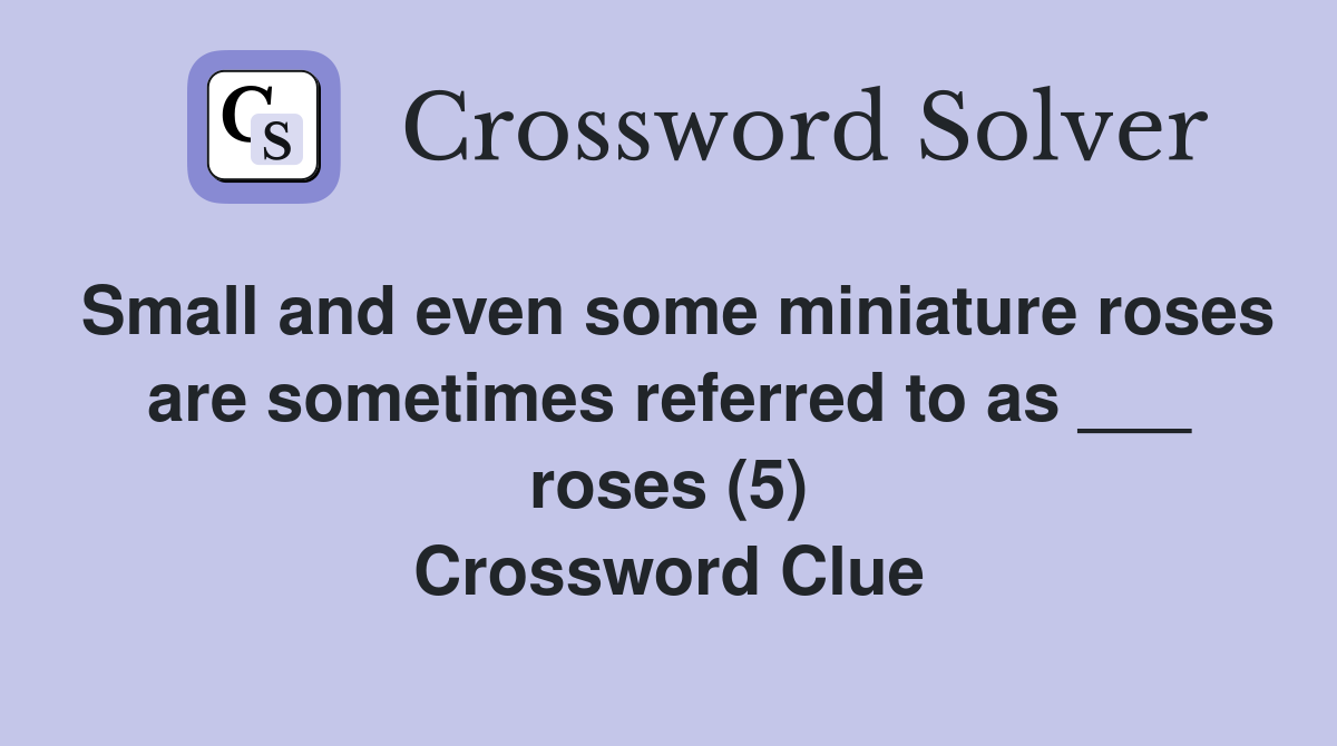 Small and even some miniature roses are sometimes referred to as ___ roses (5) Crossword Clue